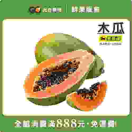 台灣大顆紅肉木瓜