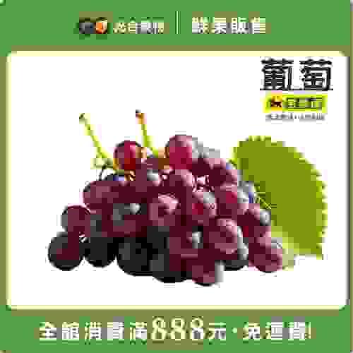 南投信義巨峰葡萄