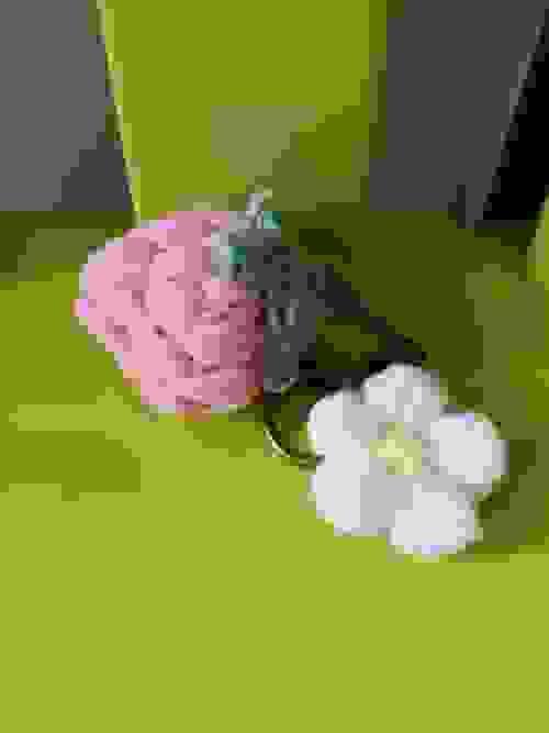 Strawberry with leaves in pink hue ( 2 variants)