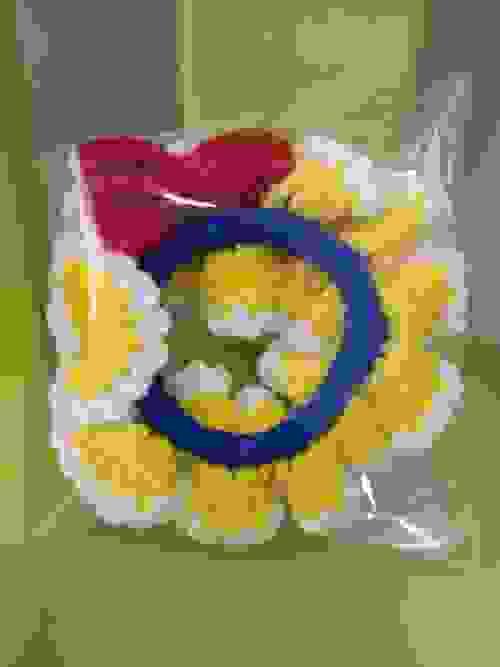 Disney Princess Scrunchie in 2 hues