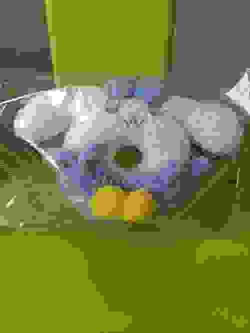 Cinamonroll Donut keychain