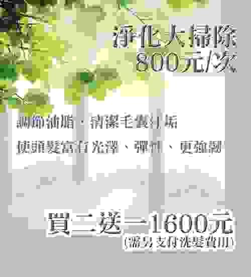 頭皮淨化大掃除