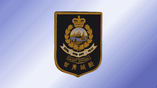 少警校徽胸章(金屬)