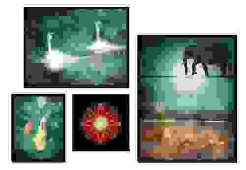 Wall Art Set Animals
