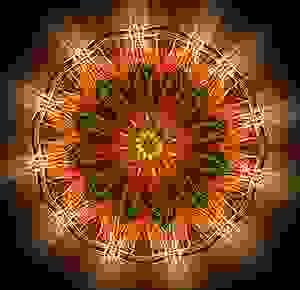 Bittersweet