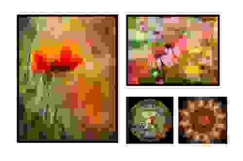 Wall Art Set Plants