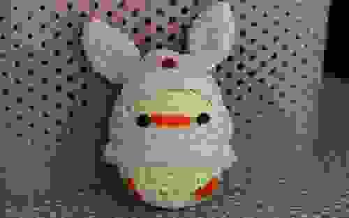 Bunny Chick