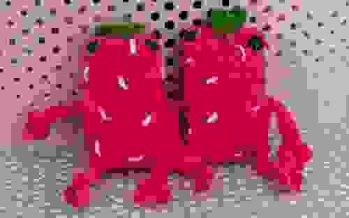 Strawberry Frog
