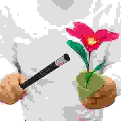 Wand to Flower