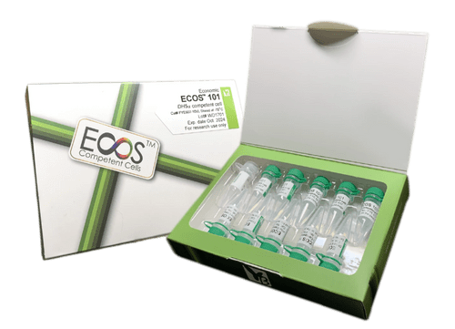 ECOS™ 101 Competent Cells [DH5α] 