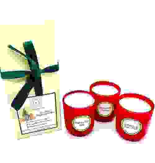 Christmas Experiment Trio