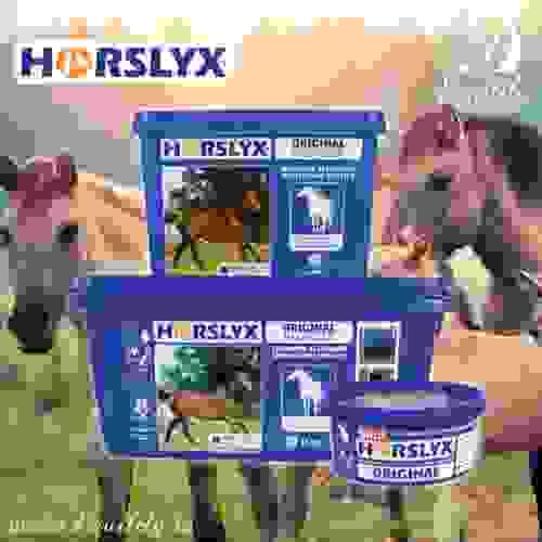 Horslyx Original Balancer 15KG TUB