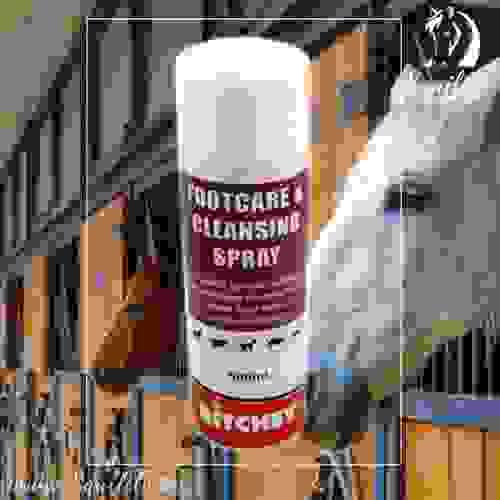 Ritchey Footcare & Cleansing Spray 500ml