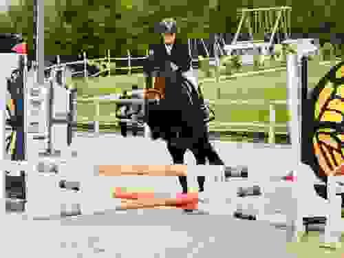 Training Show de la Papelotte