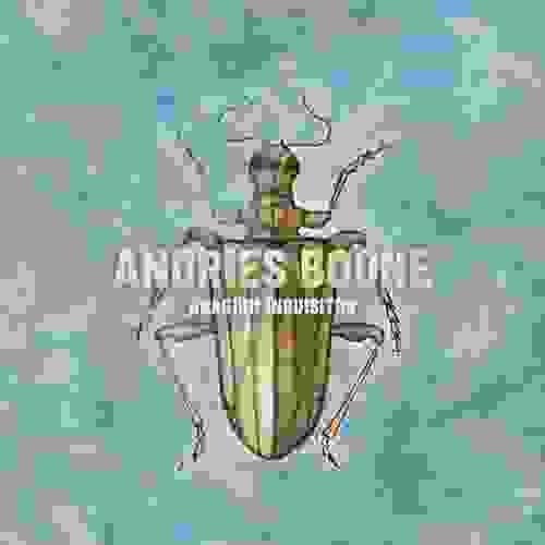 Rhagium Inquisitor Andries Boone