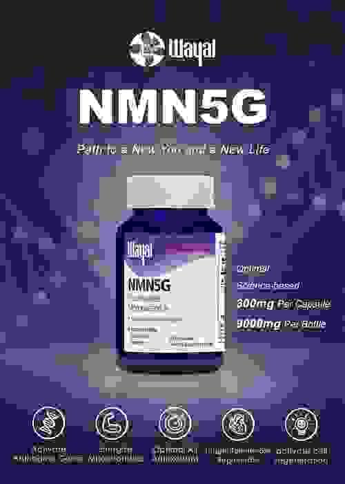 NMN5G