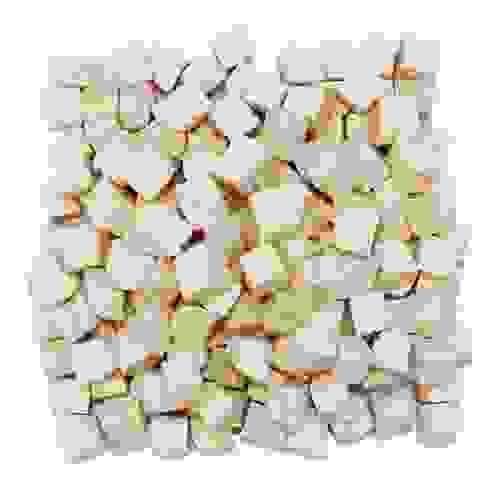 凍乾無激素雞胸肉