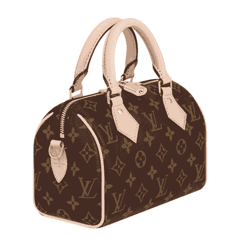 LOUIS VUITTON speedy monogram 20