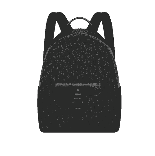 Dior Saddle Zip Backpack