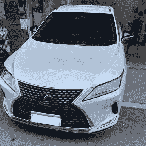 Lexus RX 加裝車側踏板