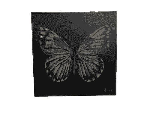 Cuadro Mariposa Hilo Oro