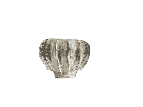 Esfera Coral