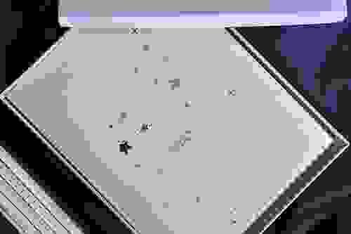 Manual de Astrología Digital + set de libreta y lápices