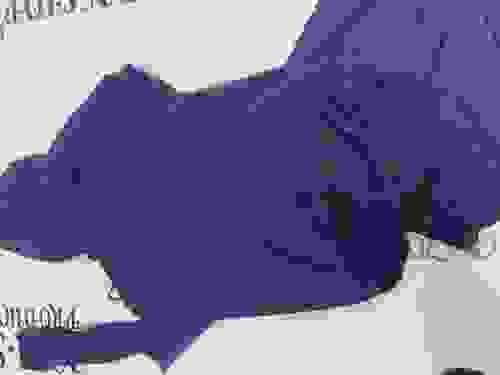 HEART OF THE OCEAN TRACK SUIT