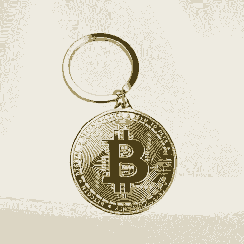 Gold Bitcoin Keychain – Crypto Collector’s Edition