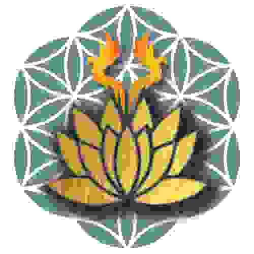 Womb Healing Yoni Steam