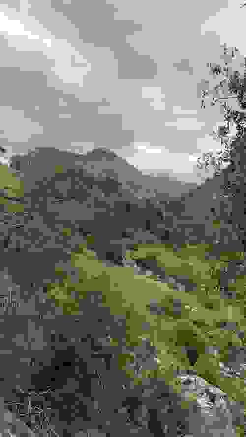 GROUP SPECIAL: Women's Guided Nature Hike Adventure