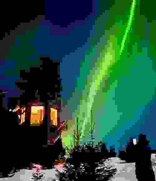 TRADITIONAL TREEHOUSE