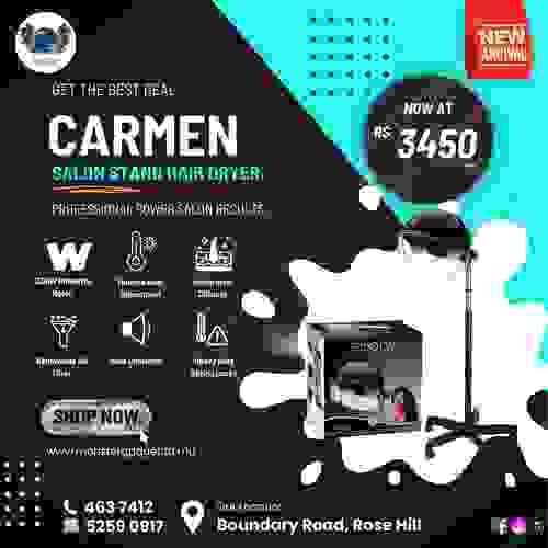 Carmen Salon Stand Hair Dryer