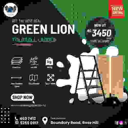 Green Lion Foldable Ladder
