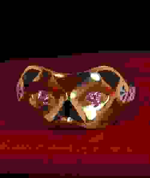 Mask ring