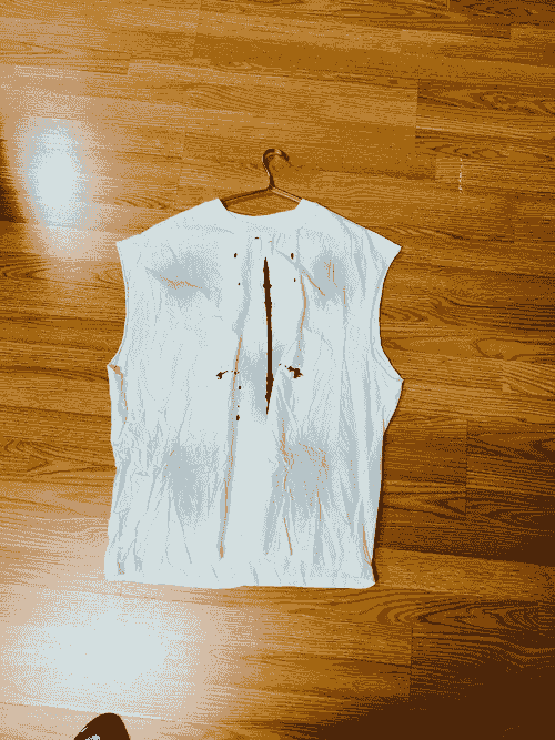 Camiseta 