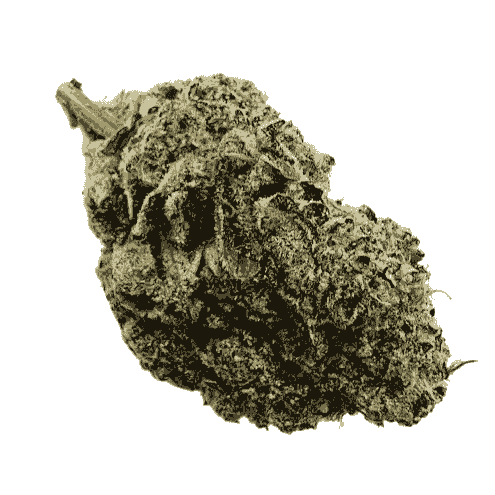 PMNY Supply - Candy Cane | Premium Flower 23% THC Indica