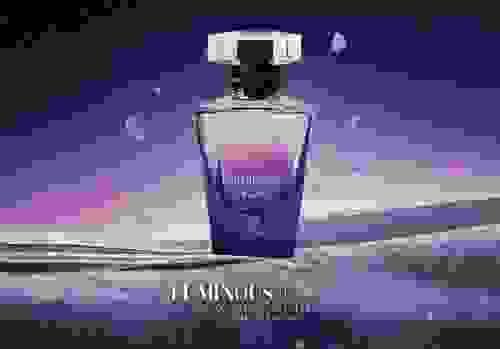 Luminous Night