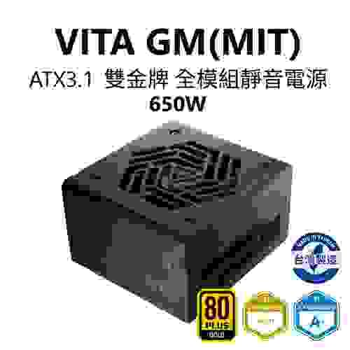 【全漢FSP】VITA GM MIT 650W ATX3.1 雙金牌全模組電源 (台灣製造/扁線材/A+低噪認證)