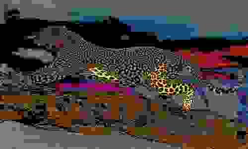 LEOPARD SKY