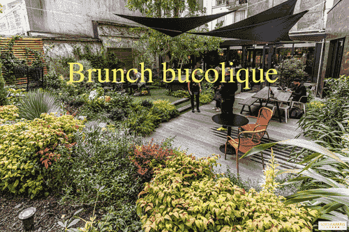 Brunch bucolique privé du club premium NTMY