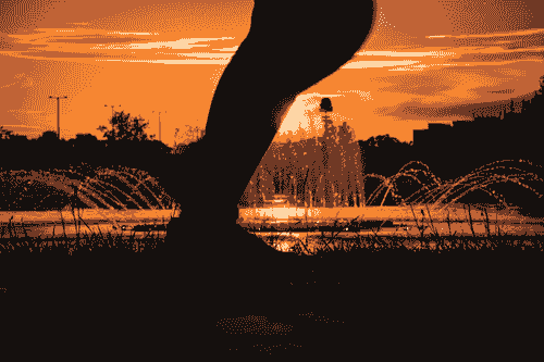 Run in Paris avec Contigo