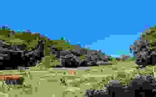 06農と食の民主主義を実現する