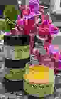 SALVE-vation Soothing Body Salve