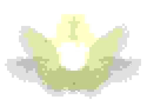 Amazing Grace Ascension