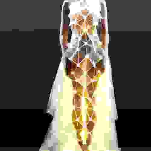 Dress of Golden Radiance