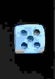 Winners Dice by Secret Factory