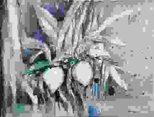 No.380 植物 1