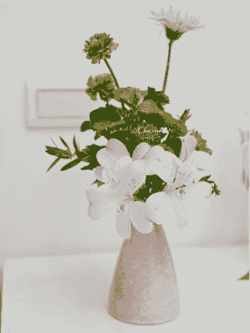 居花禮佛花束