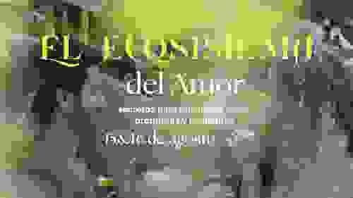 El ECOSISTEMA DEL AMOR